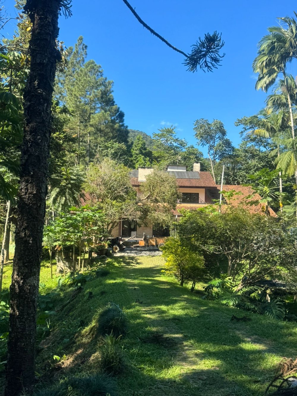 Stio - Venda - Rural - Luiz Alves - SC